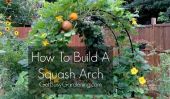 Comment construire une Arche Squash