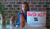 Un élève de troisième année prouve les avantages de la nourriture biologique au monde