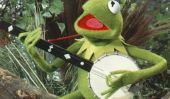 Conseils de Kermit la grenouille légitimement vie Améliorer