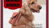Doggy Backpack Bonanza