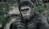 Week-end Aperçu 2014: "Dawn of the Planet of the Apes" Leads Nouveautés