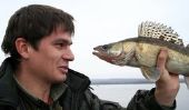 Pêche en haute mer en Pologne - si cela est réussie comme un week-end