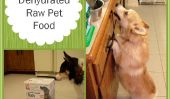 Je fait le passage à déshydratés Raw Pet Food - Devriez-vous?
