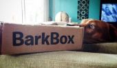 Bark Box: Otis Le Coonhound avis