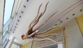 Calmar géant Trouvé En Espagne;  400-Pound, Créature 30 pieds de long a les yeux massives