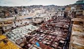 Les tanneries de Fès, au Maroc