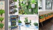 20 grandes idées Herb Garden