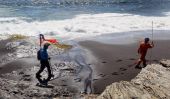 Chilienne diable Stingray: Créature va plus loin dans l'océan que les scientifiques attendus