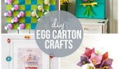 10 de bricolage boîte à œufs Artisanat