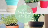 10 Planters Terra Cotta bricolage
