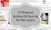 17 conseils Pinterest vacances cadeaux pour Pet Lovers