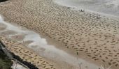 9.000 soldats au pochoir sur Normandy Beach pour commémorer Débarquement