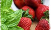 Célébrez Strawberry Festival de Floride avec Scrumptious Recettes aux fraises