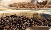 Géants de l'entreprise de café comme Nestlé Faire Colombie agriculteurs Codependent