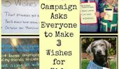 Poignant social-Media campagne demande à chacun de faire trois vœux pour enfants atteints du cancer (PHOTOS)