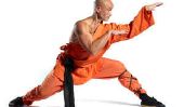 Plan de formation de Shaolin - informatif