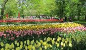 10 spectaculaires lieux à visiter Spring Bloom