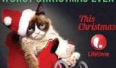 Cat Grumpy Just Landed Another Dream Job