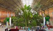 Jardin botanique de l'intérieur de la gare d'Atocha, à Madrid
