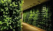 Interiors fraîches avec des murs verts par Greenworks