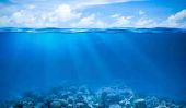 Combien y at-il des océans sur Terre?