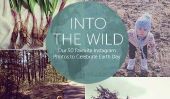Into the Wild: Nos 50 Instagram Favorite Photos pour célébrer la Journée de la Terre