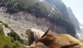 Aigle Cam Fournit Breathtakingly belle vue sur les Alpes françaises