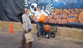 Est presque Voici Halloween!  Robin Thicke et sa famille obtiennent leur Pumpkins (Photos)