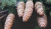 gnomes Tinker de cônes de pin - comment ça marche