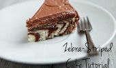 Comment faire un gâteau Zebra: Facile rayé parfait gâteau pour les anniversaires pour enfants