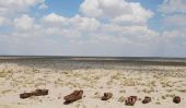 La disparition du lac d'Aral et le navire Cimetière de Moynaq