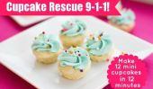Cupcake Craving 9-1-1: Comment faire 12 Mini Vanilla Cupcakes en 12 minutes!