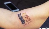 Ce sont quelques-unes des raddest tatouages ​​de chats sur la planète