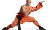 Quelle est la différence entre le karaté et le kung-fu?