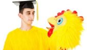 Costume de poulet tinker - comment cela fonctionne:
