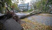 Qu'est-ce que l'ouragan Sandy a fait à Kensington, Coney Island et de Brighton Beach (Photos)
