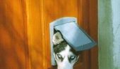 Installez chatière - Voilà à une porte en bois