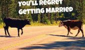 12 raisons pour vous regretterez Se marier