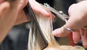 Guide du débutant - cheveux de coupe