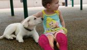 Tennessee Toddler né sans pieds Obtient Puppy Sans Paw