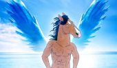 'BoJack Horseman' Saison 2 Date & Spoilers sortie: Personnage SET pour revenir à la mi-Juillet, Bojack Fonctionne sur Secrétariat Biopic
