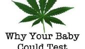 Qu'est-ce Making Babies test Faux positif à la marijuana?