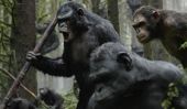 Prédictions week-end Box Office: "Dawn of the Planet of the Apes» devrait gagner au Week-end Box Office