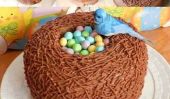 Oiseau Pâques Gâteau de Nest Recette