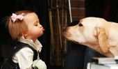 Bébés et leurs chiens: une collection de photos de partout dans le Web