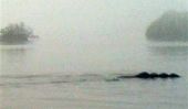 Monstre du Loch Ness: Le récent photo de "Anglais Nessie"!
