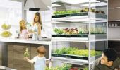 Cultiver légumes directement dans votre cuisine Avec Nano Garden
