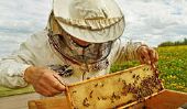 Equipement d'apiculture Geller - informatif