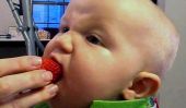Tate dévore une fraise [Vidéo]