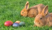 Pliez lapin de Pâques - comment cela fonctionne avec des chiffons